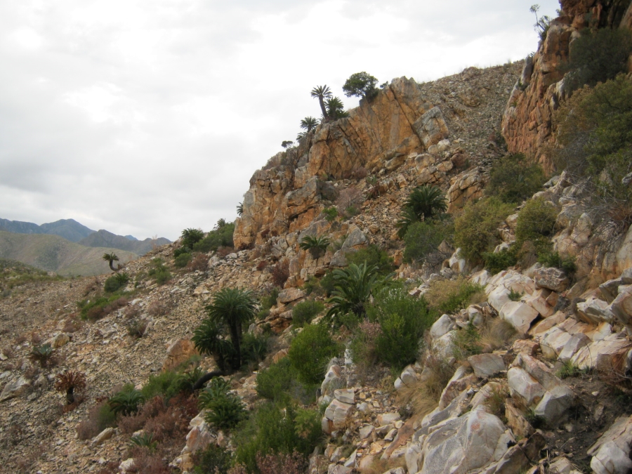 3 Bedroom Property for Sale in Joubertina Eastern Cape